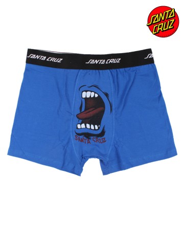 Boxer
Santa Cruz Screaming Hand