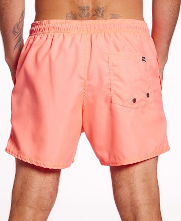 Boardshort
Volcom Solid 14 Pulg
