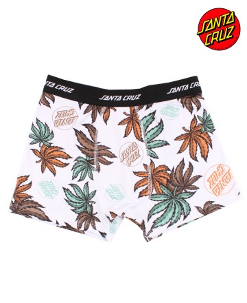 Boxer 
Santa Cruz Weed Dot Pattern