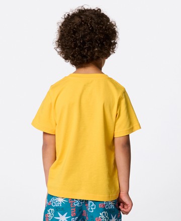 Remera 
Rip Curl Aots