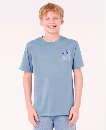 Remera 
Rip Curl Aots Ty Coast