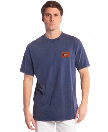 Remera 
Volcom RLX Process Print