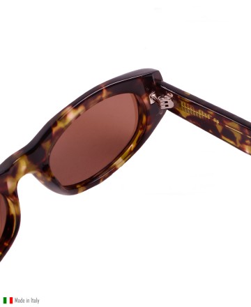 Anteojos
Volcom Acet Paradise