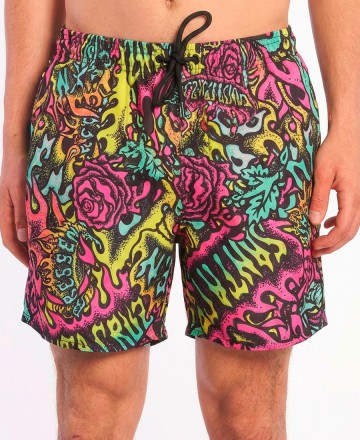 Boardshort 
Santa Cruz Dope Planet 16